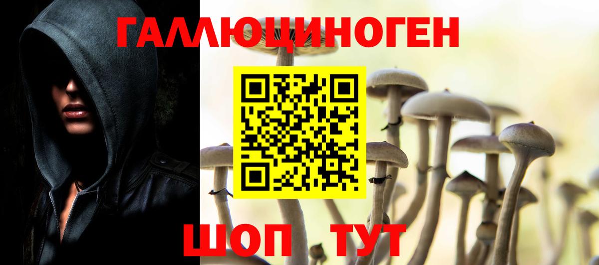 Псилоцибиновые грибы Psilocybine cubensis  хочу наркоту  Сафоново  Вход с VPN  Галлюциногенные грибы Cubensis 